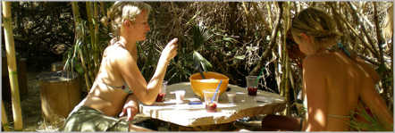 Safaribar